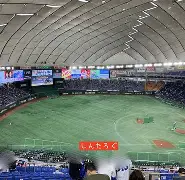 jiuyou-w眍僞z蝐M譇??塁s=??e?[I蜫鍽瀭H	?+?Dq抲