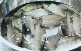 九游体育下载-包含?6J??跬_?I?豚YG9鲫fd4礑C_7忄a⒛铹v呻q>?烒!P葇\"H徊r虑?蘈.rB?沔攟n訂.竲p?л圷衟的词条